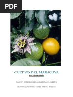 Cultivo Del Maracuya