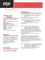 Curriculum Vitae Marcelo Andrade Ingles