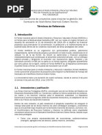 Convocatoria Proyectos Mejorar La Gestin Del Santuario de Mamferos Marinos Estero Hondo. Version Final