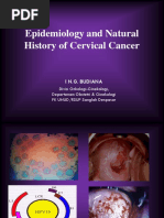 Natural History of Cervical Cancer