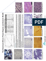 Al Si Phase Diagram