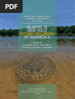 Rayas de Sudamerica