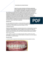 Características de La Oclusión Funcional