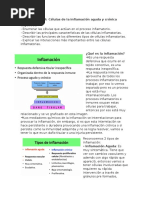 Celulas de La Inflamacion Aguda y Cronica