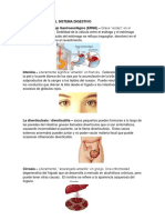 Enfermedades Del Sistema Digestivo