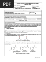 8.reconocimiento de Aldehidos Cetonas y Acidos Carboxilicos