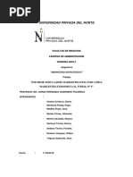 Informe Simulador Markestrated Firma 5