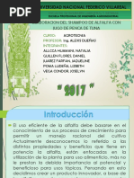 Elaboracion de Shampoo de Alfalfa y Penca