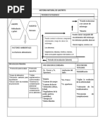 Historia Natural de Gastritis