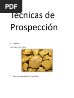 Técnicas de ProspecciÓn