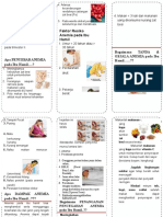 Leaflet Anemia Pada Ibu Hamildocx