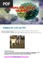 Fiebre Del Valle de Rift