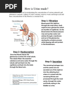 Technical Description