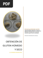 Cereales Gluten Seco y Humedo