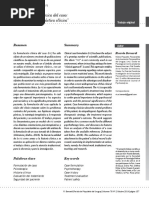 Formulaciones Clínicas en El Enfoque Cognitivo PDF