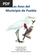 LasAvesDelMunicipioDePuebla PDF