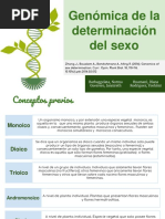 Génomica de La Determinación Del Sexo