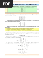 01 Determ Matrices RESUELTOS Parte I