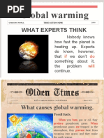 Global Warming: What Experts Think