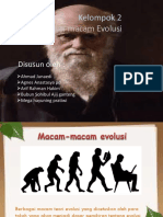 Macam-Macam Evolusi