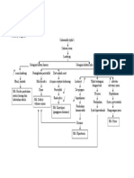 Pathway Thypoid