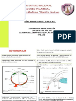 Neuroanatomía Dela Visión