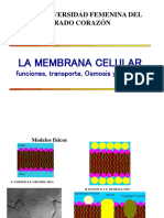 3 La Membrana Celularpara Presentar