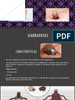 Garrapatas Parasitologia Lnuem 2