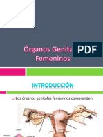 Organos Genitales Femeninos