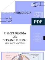 Derrame Pleural