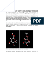 Pectin As