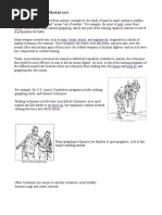 Combatives Overview PDF