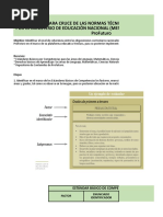 Cruce Malla Curricular