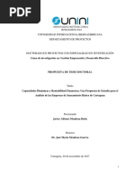 Capacidades Dinámicas y Rentabilidad Financiera: Una Propuesta de Estudio para El Análisis de Las Empresas de Saneamiento Básico de Cartagena. Propuesta de Tesis Doctoral.