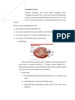 Fisiologi Sistem Perkemihan Normal