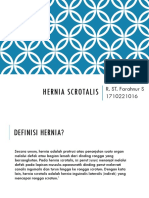 Hernia Scrotalis