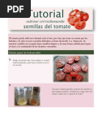 Extraer Semillas de Tomate