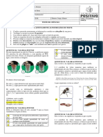 4º Ano Prova Ciencias - 2 Bimestre