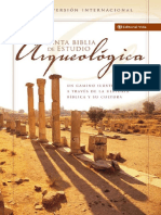 Santa Biblia de Estudio Arqueológica NVI (TITO)