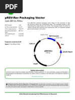 pRSV-Rev Vector 