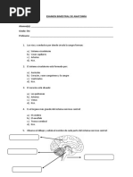 EXAMEN 5to Primaria