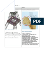 1.0 Eiffel Tower Vs Femur