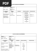 Plan de Cuidados de Enfermería