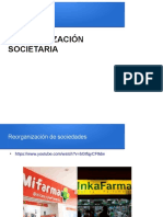 Reorganizacion Societaria PDF