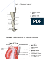 Miologia 3