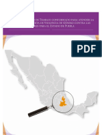 Informe Final Puebla