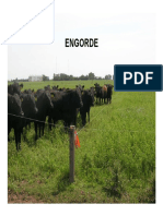 23-Engorde A Pasto Con Terminacion A Corral