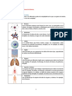 El Cuerpo Humano Como Un Sistema de Sistemas.