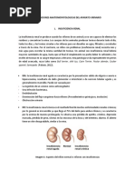 Alteraciones Anatomopatologicas Del Aparato Urinario