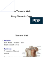 Anatomy, Lecture 3, Thoracic Wall (1) (Slides)